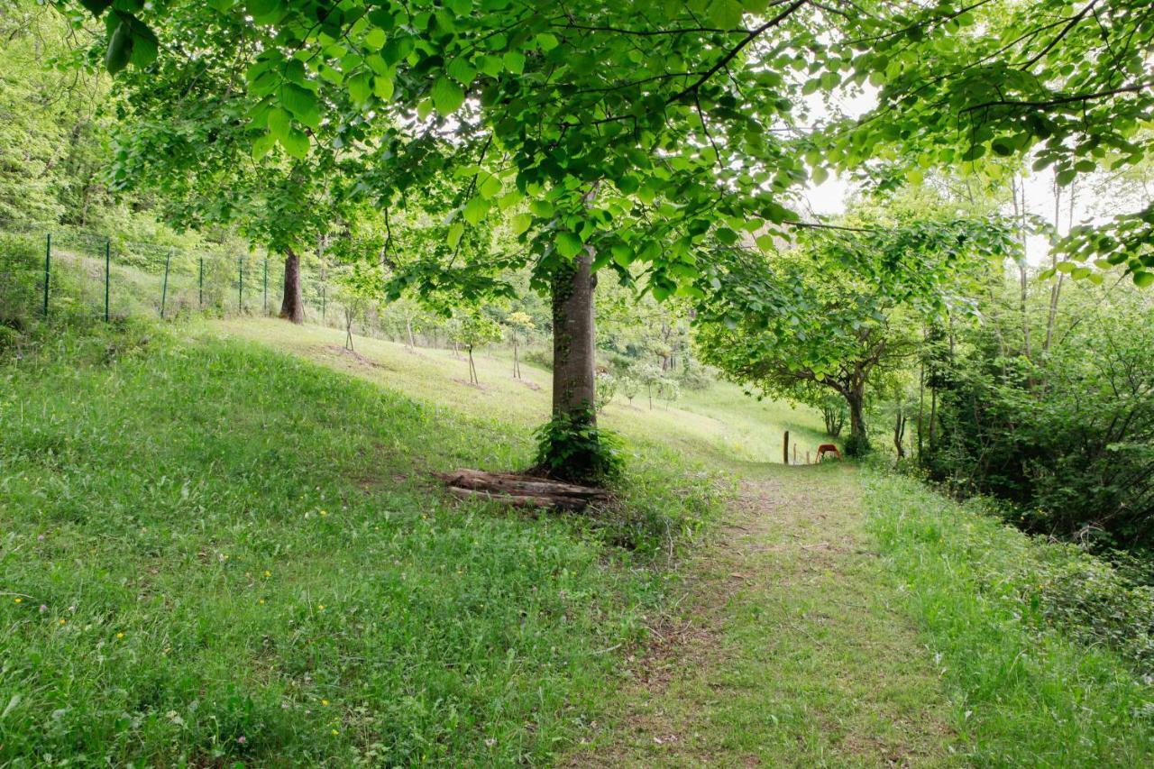 Bed & Breakfast Moulin D'entre Les Roches *